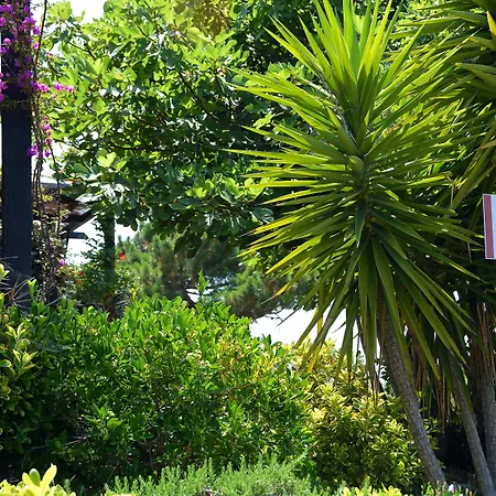 Alba Rossa - Sfo100 By Interhome * Серра-ди-Ферро