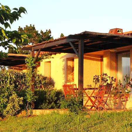 Feriehus Alba Rossa - Sfo100 By Interhome *