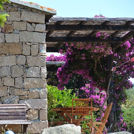 Alba Rossa - Sfo100 By Interhome Feriehus Serra-di-Ferro (Corsica)