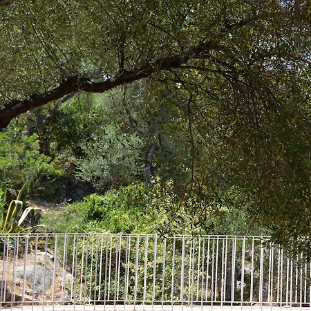 Alba Rossa - Sfo100 By Interhome Серра-ди-Ферро