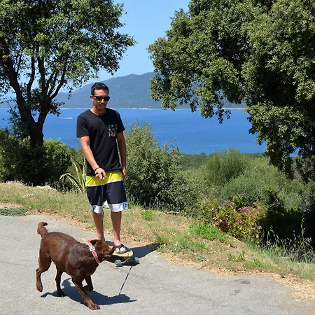 Alba Rossa - Sfo100 By Interhome Дом отдыха Серра-ди-Ферро